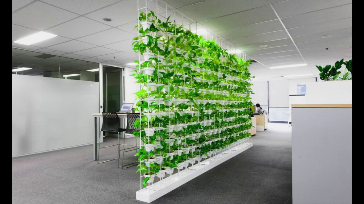 Зеленый офис. Зеленый город - 2022